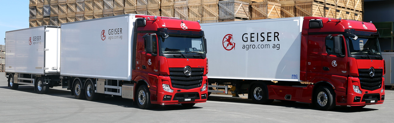 Transporte